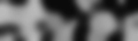 Firma V1